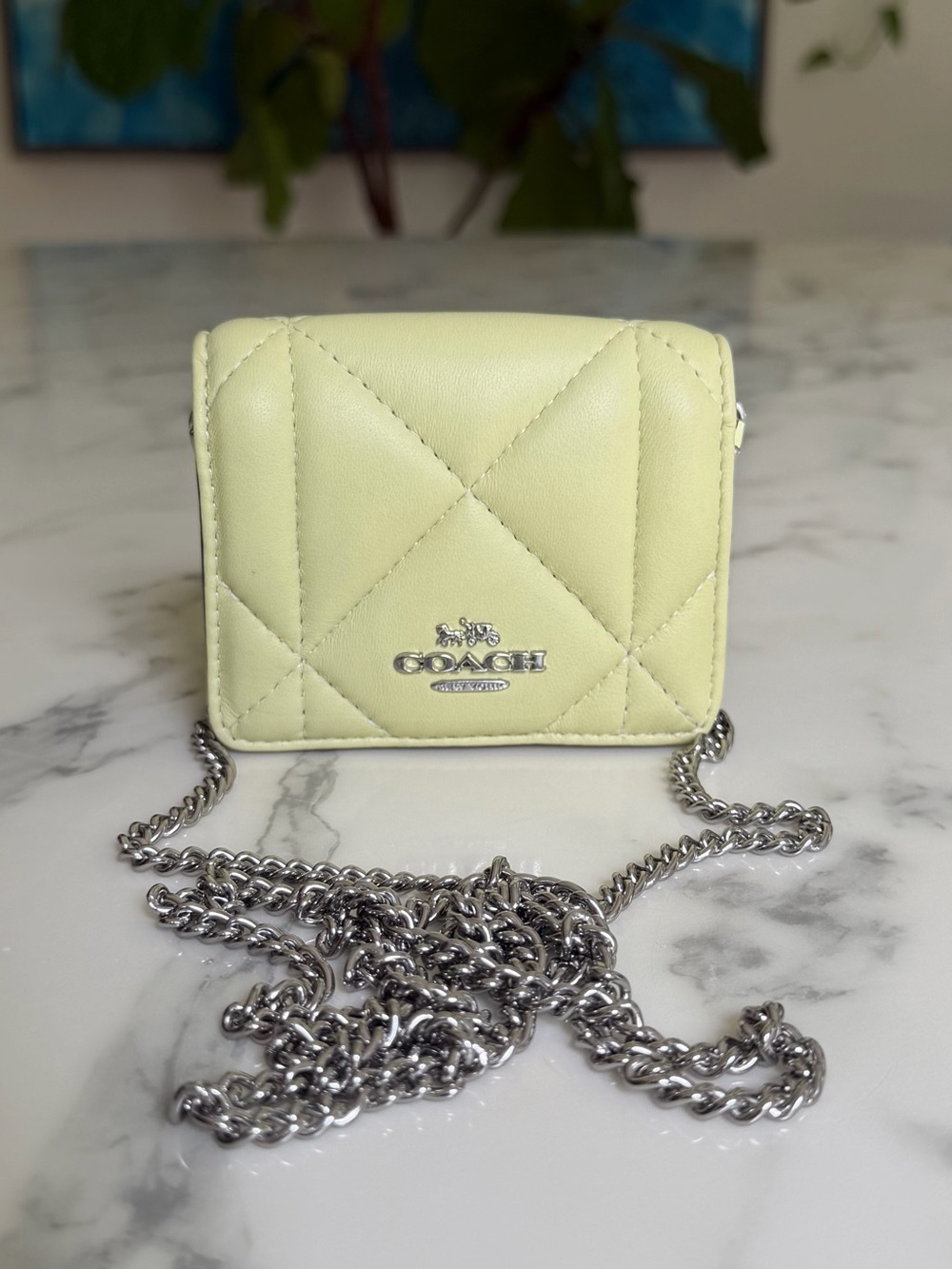 Coach Mini Wallet On A Chain With Puffy Diamond Quilting Pale Lime Green CJ528
